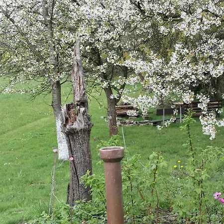 Ferienwohnung Kerschbaum *